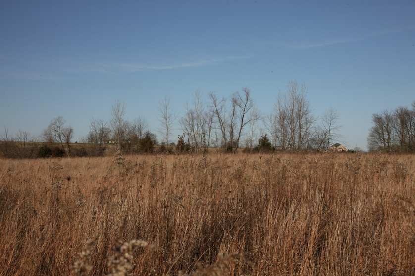 Full Size Image = 4920 K