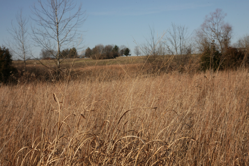 Full Size Image = 4799 K