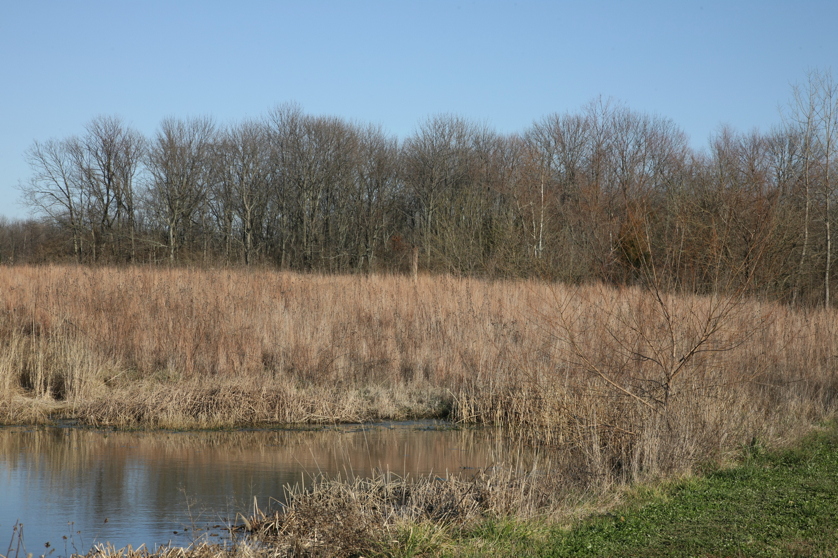 Full Size Image = 6148 K