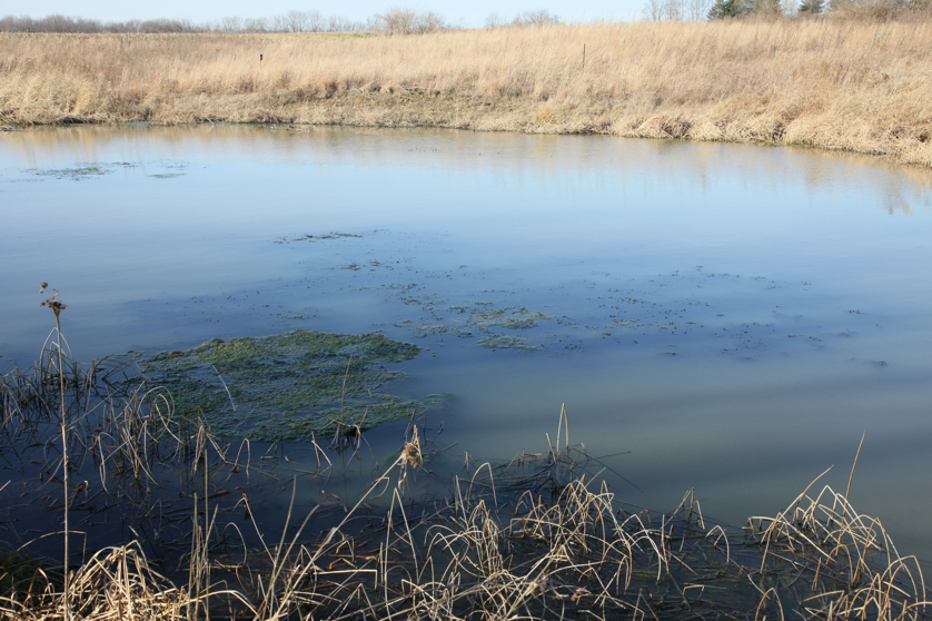 Full Size Image = 4803 K