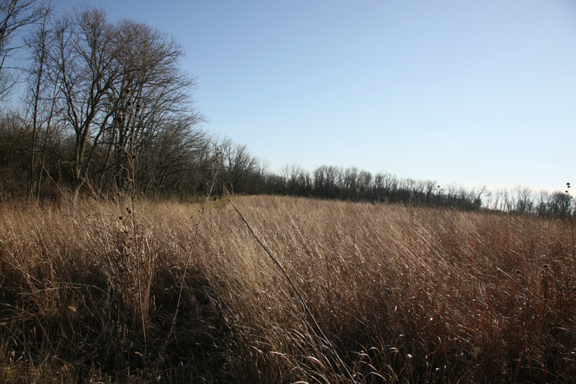 Full Size Image = 5492 K