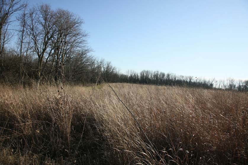 Full Size Image = 5820 K