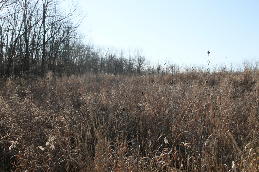 Full Size Image = 6650 K