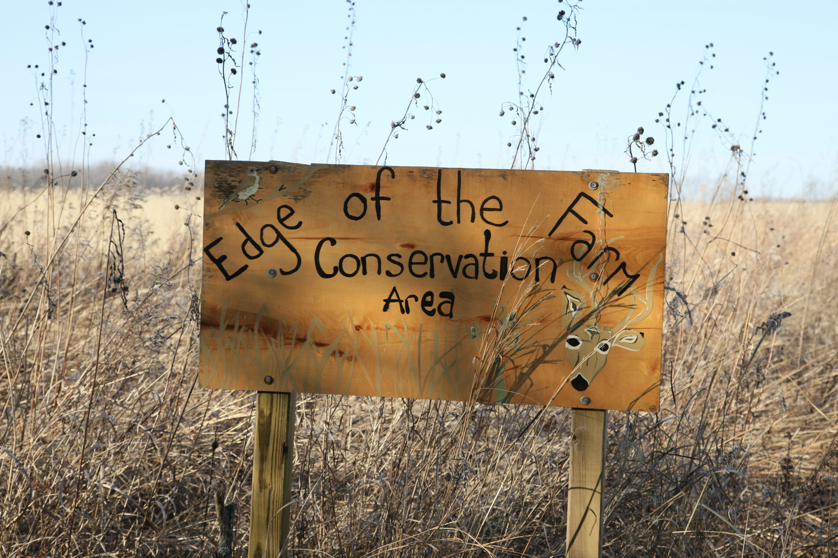 Full Size Image = 4828 K