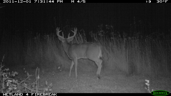 Full Size Image = 683 K