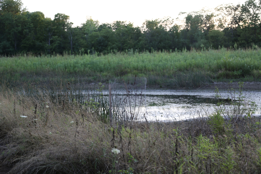 Full Size Image = 4815 K