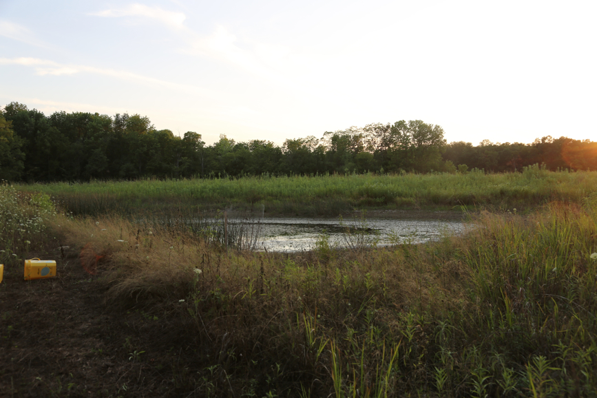 Full Size Image = 3607 K