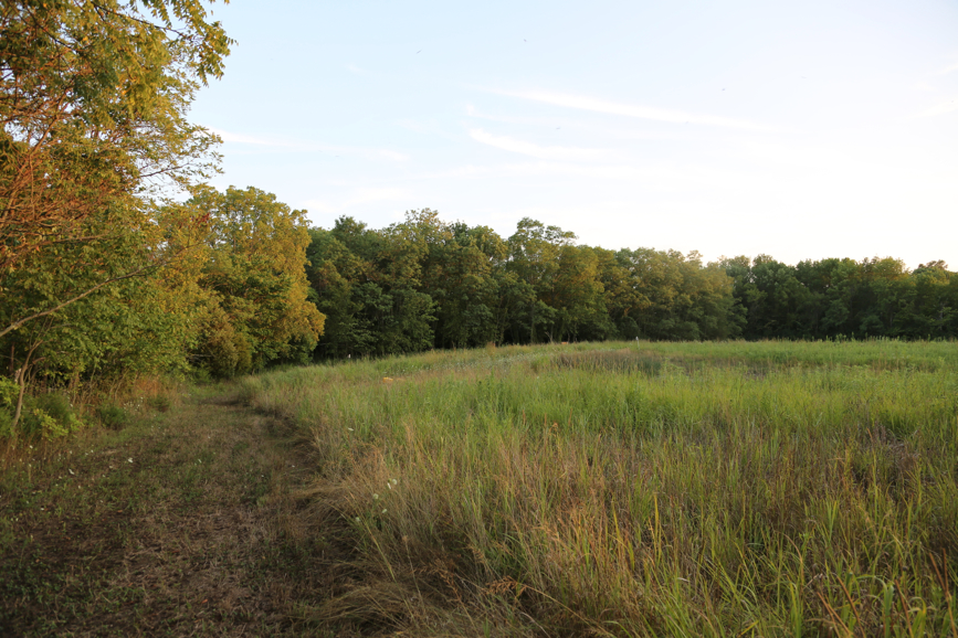 Full Size Image = 5476 K