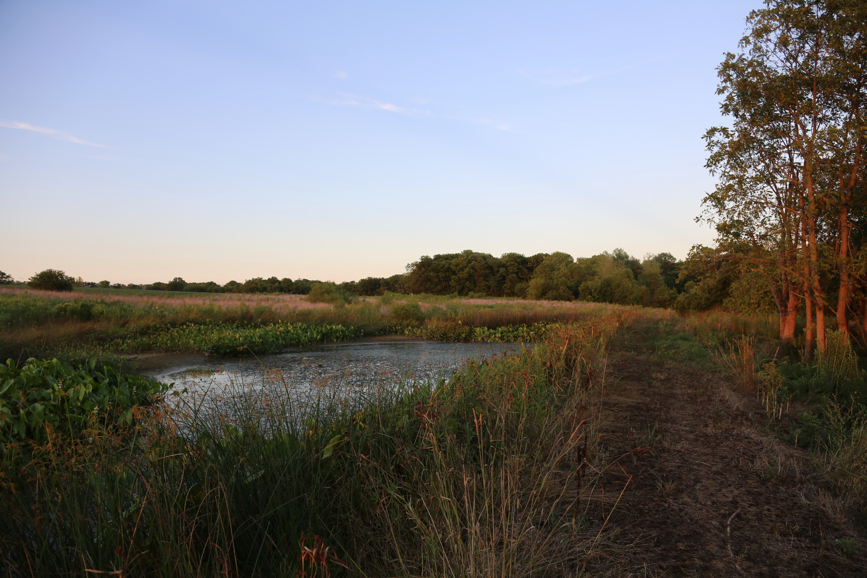 Full Size Image = 4611 K