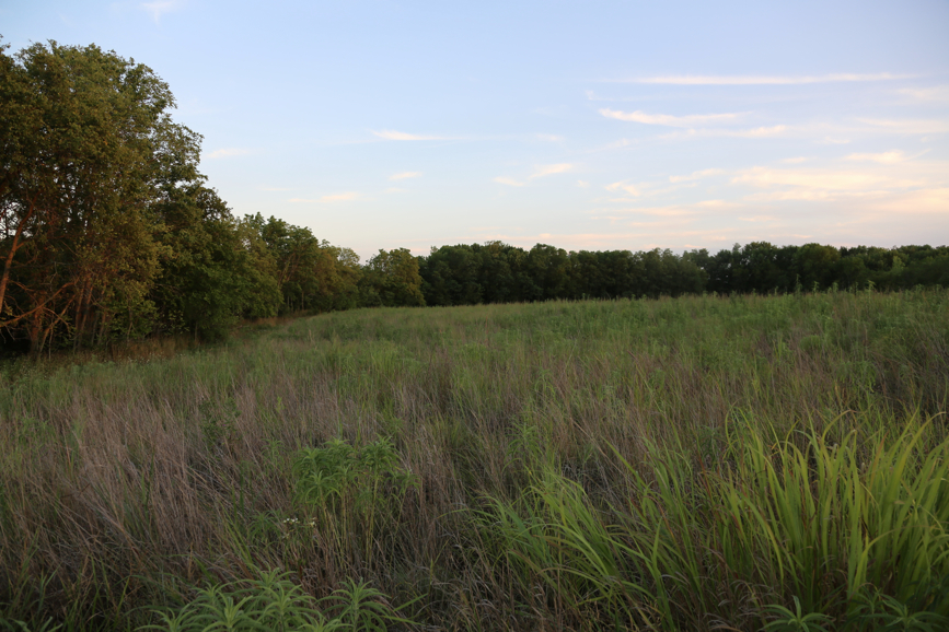 Full Size Image = 4624 K