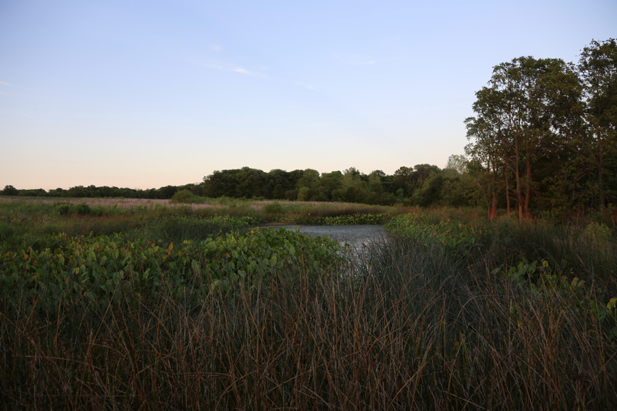 Full Size Image = 4282 K