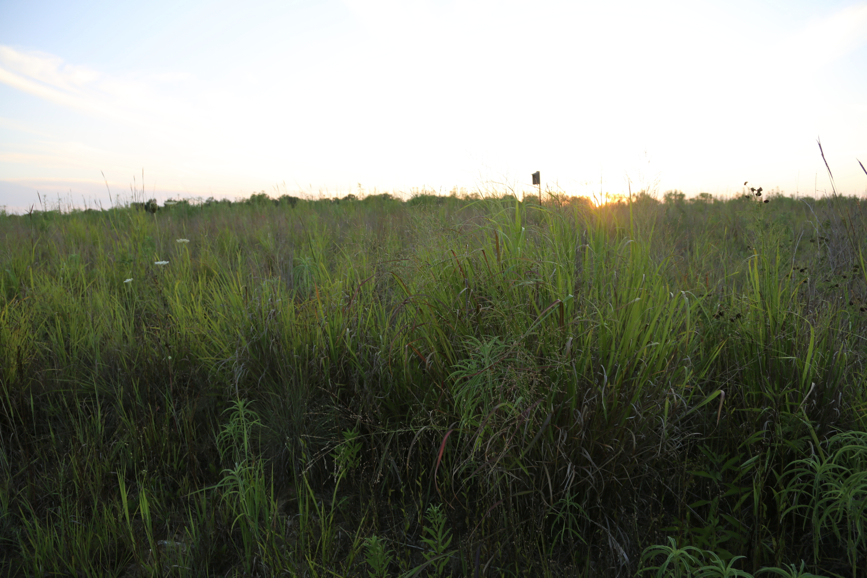 Full Size Image = 3584 K