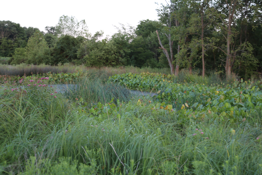 Full Size Image = 4216 K