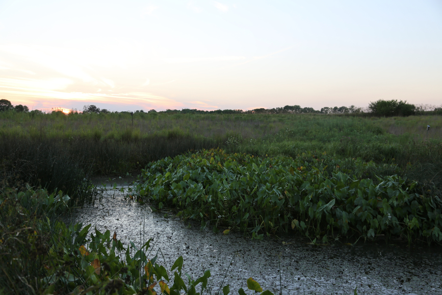 Full Size Image = 3630 K