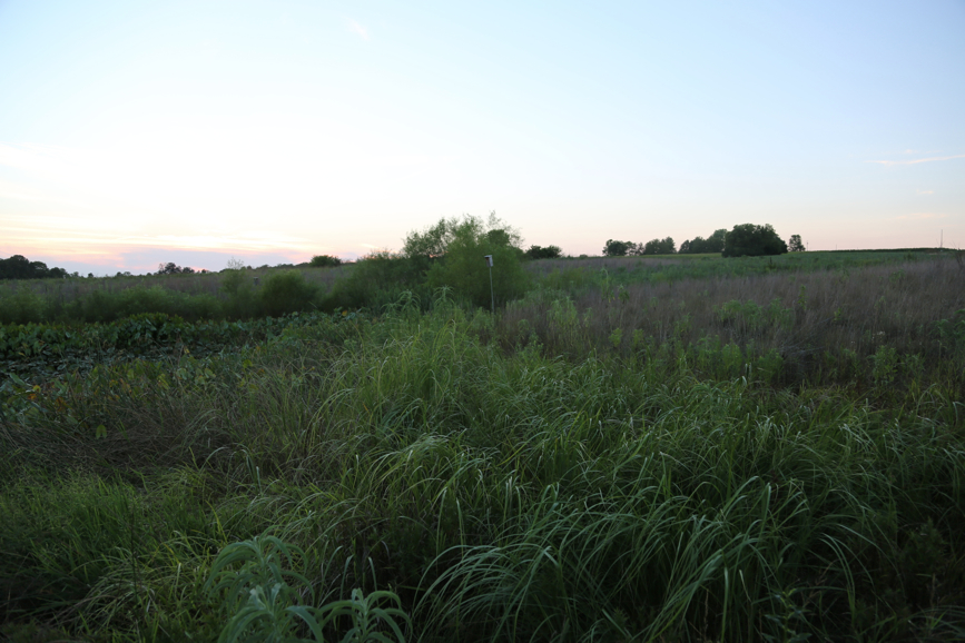 Full Size Image = 3582 K