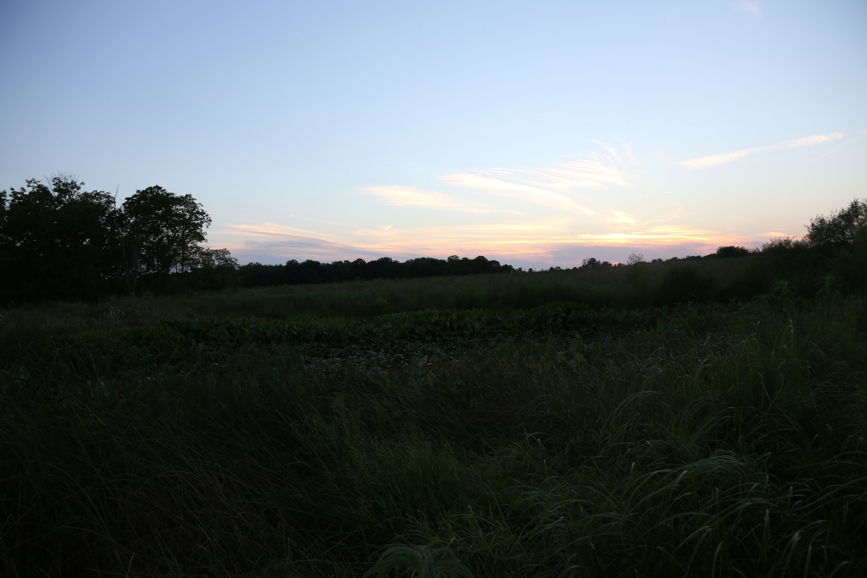 Full Size Image = 2736 K