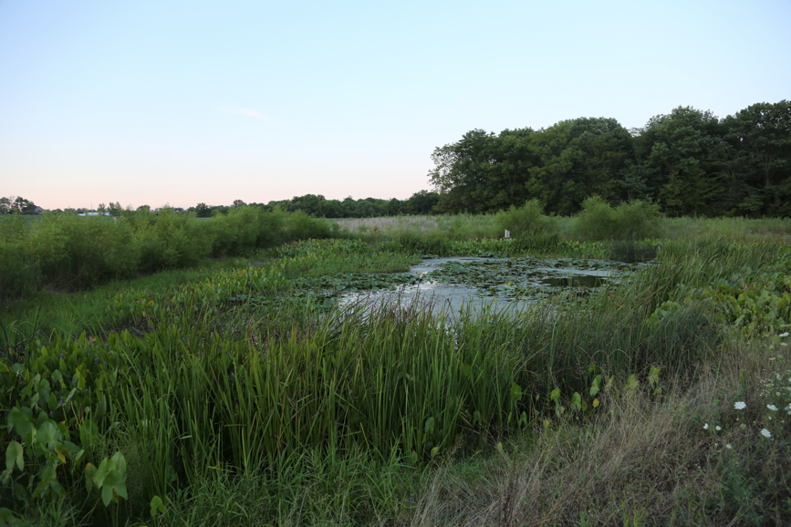 Full Size Image = 4828 K