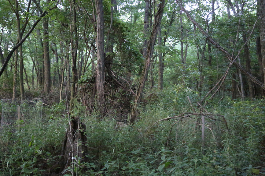 Full Size Image = 6078 K