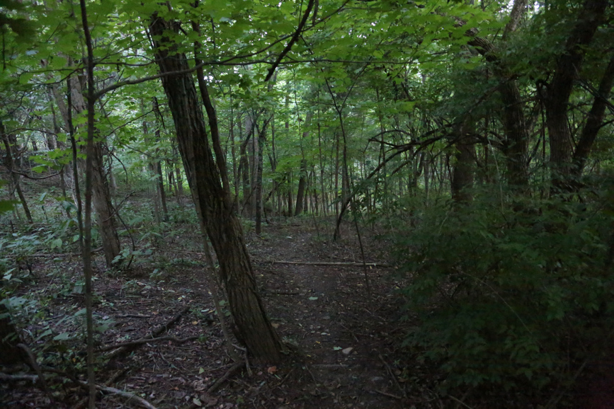 Full Size Image = 5038 K