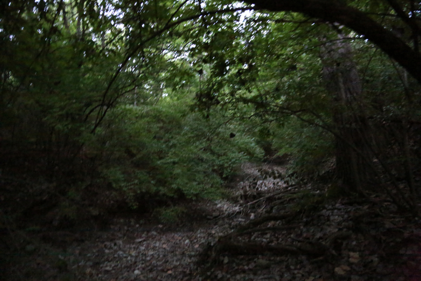 Full Size Image = 4184 K