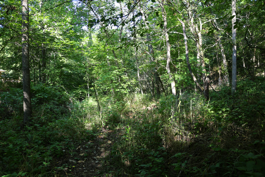 Full Size Image = 8689 K