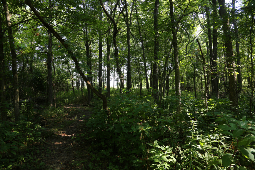 Full Size Image = 7696 K