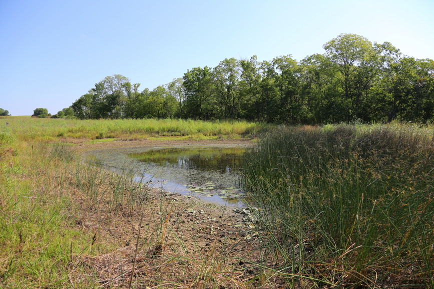 Full Size Image = 7806 K