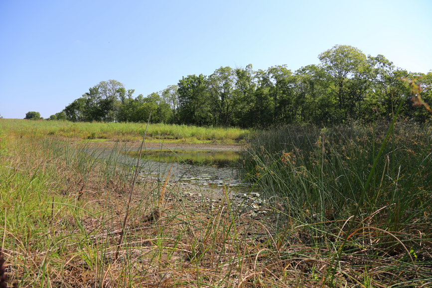 Full Size Image = 7202 K