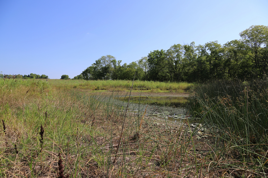 Full Size Image = 6829 K