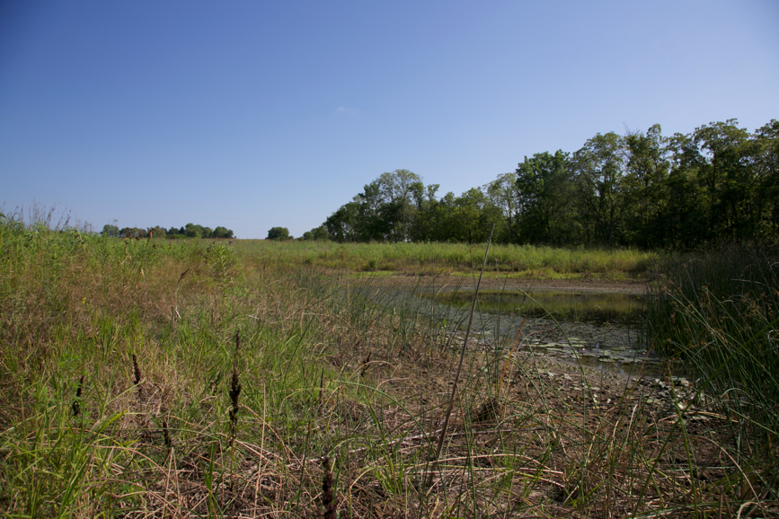 Full Size Image = 5056 K