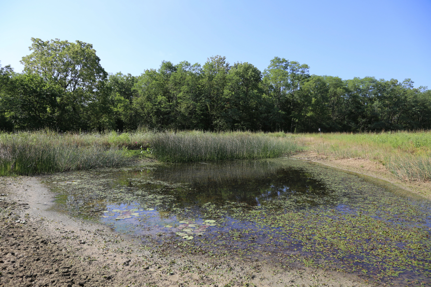 Full Size Image = 7357 K