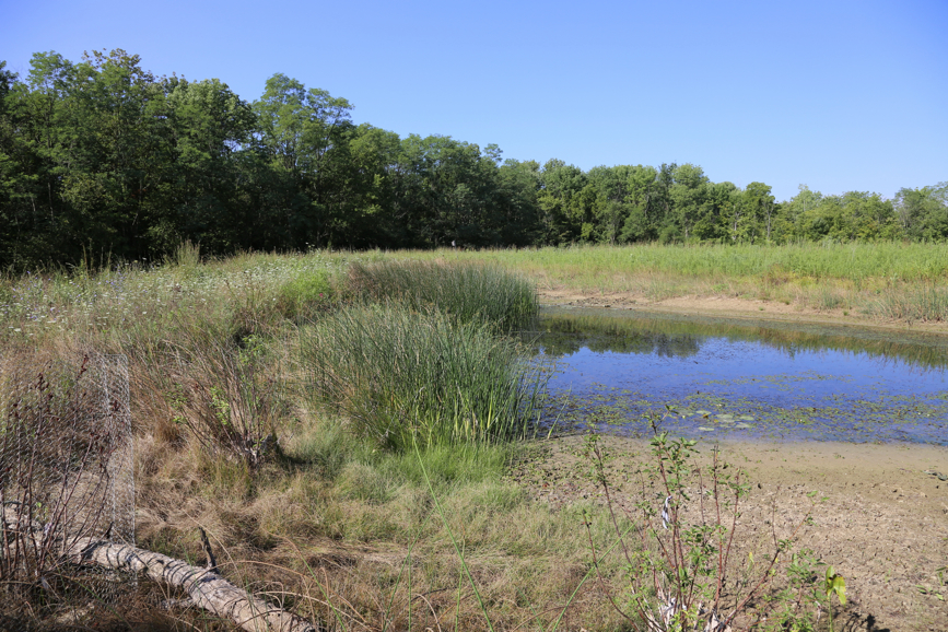 Full Size Image = 7549 K