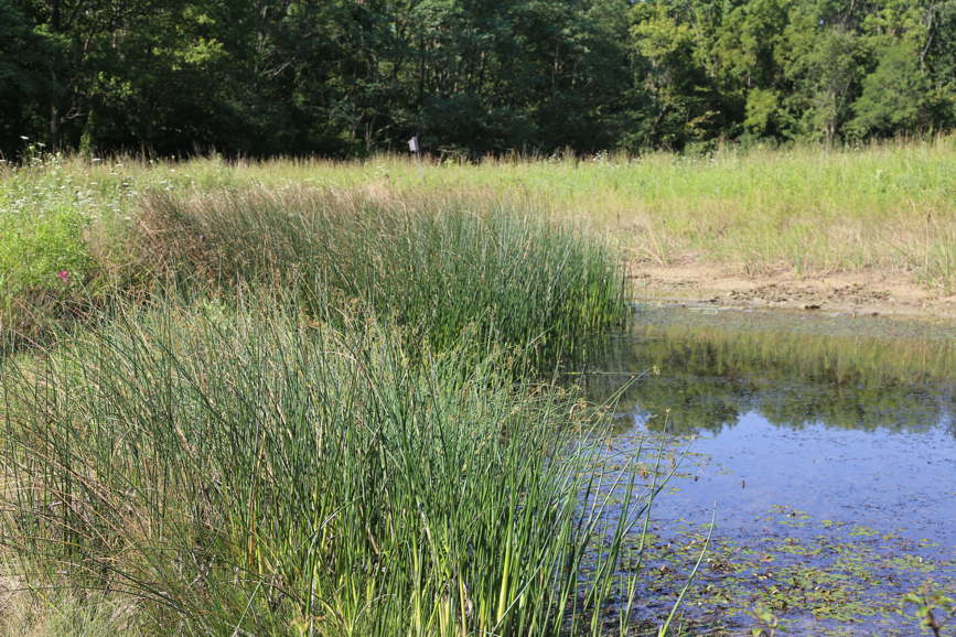 Full Size Image = 7179 K