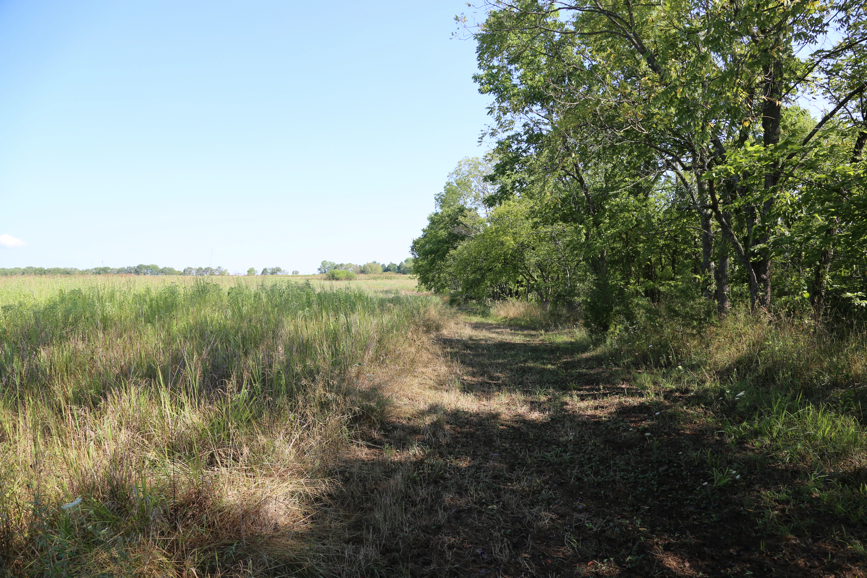 Full Size Image = 6750 K