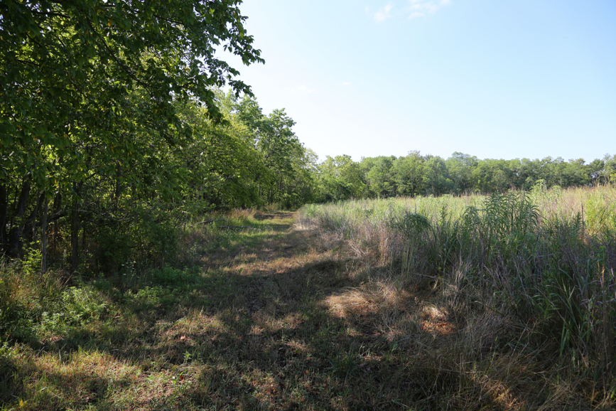 Full Size Image = 6679 K