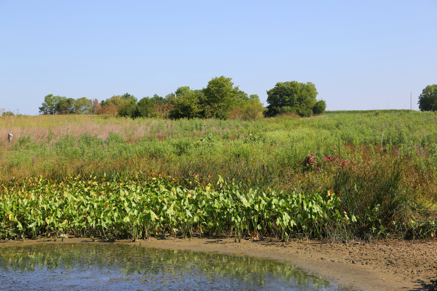 Full Size Image = 6887 K