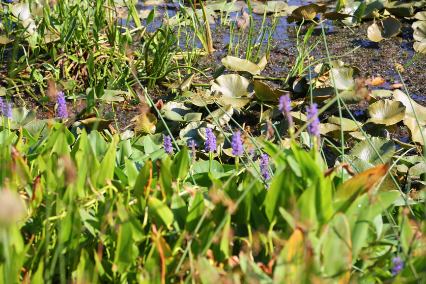 Full Size Image = 4968 K