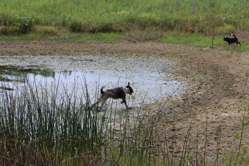 Full Size Image = 5881 K