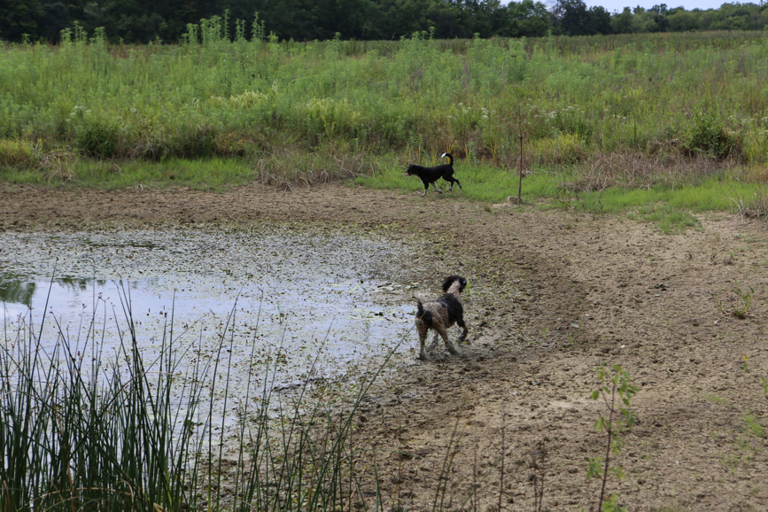 Full Size Image = 6790 K