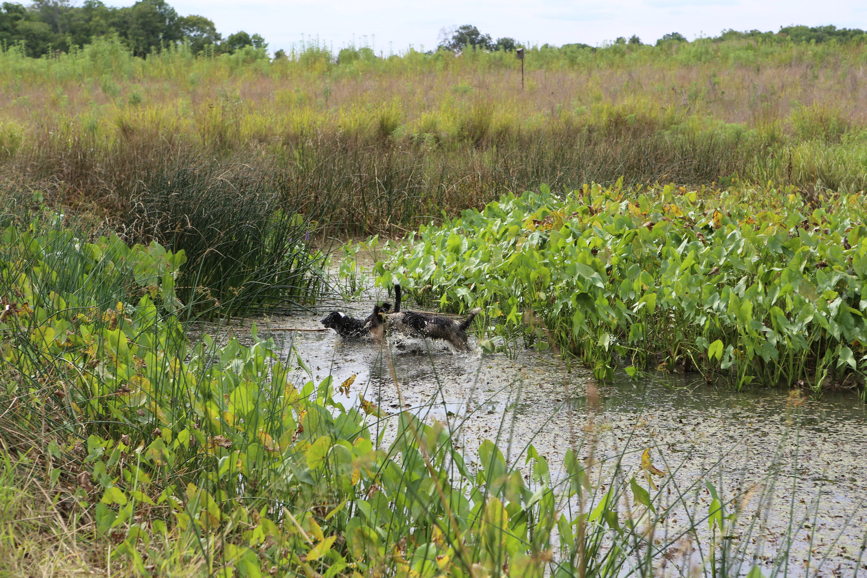 Full Size Image = 6503 K