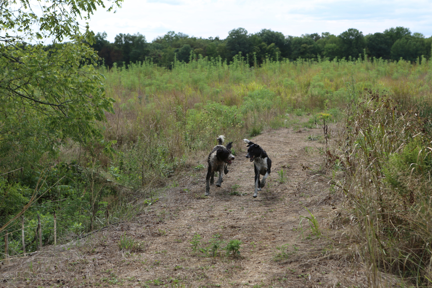 Full Size Image = 5974 K