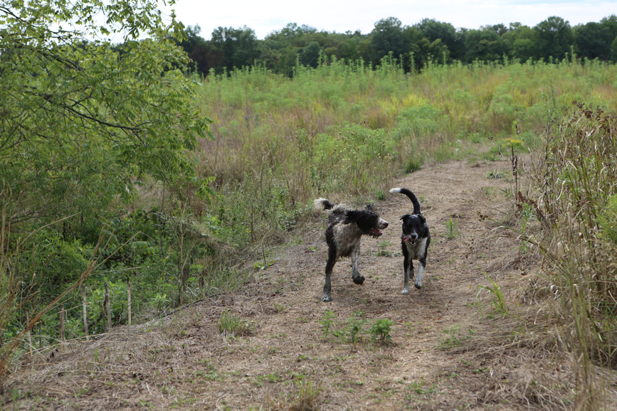 Full Size Image = 6570 K