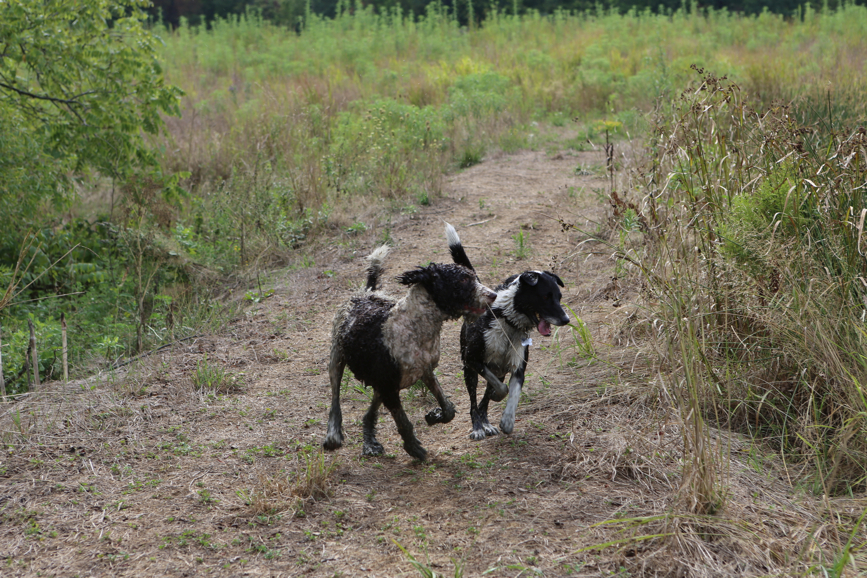 Full Size Image = 6359 K