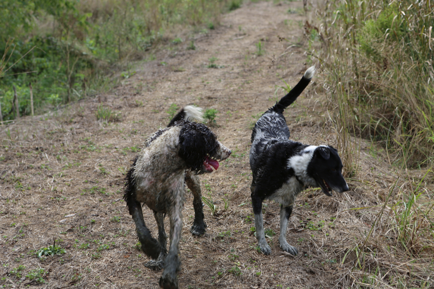 Full Size Image = 5160 K