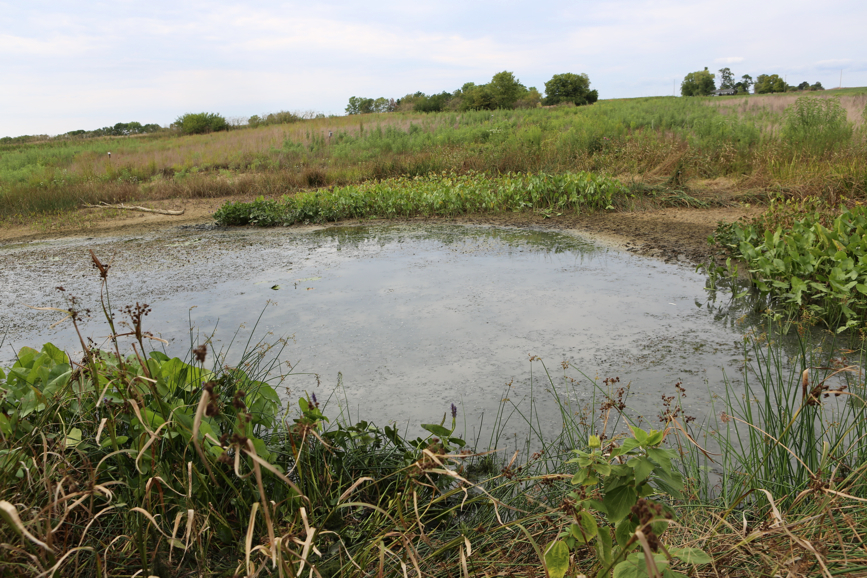 Full Size Image = 5588 K