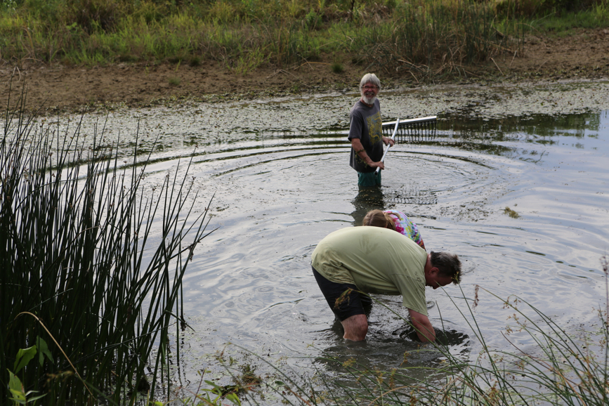 Full Size Image = 5547 K