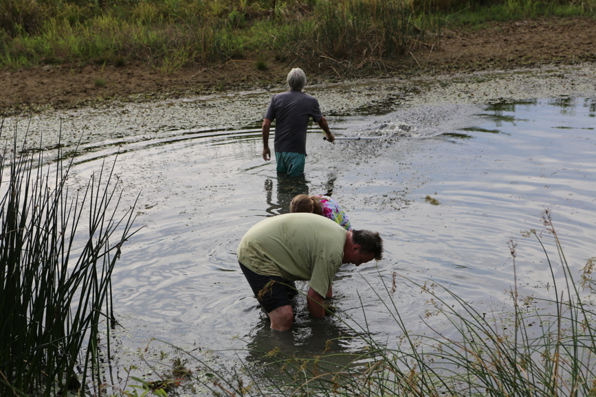 Full Size Image = 5413 K