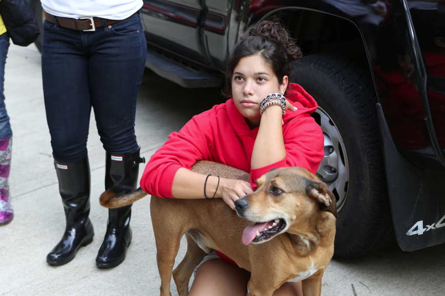 Full Size Image = 3572 K