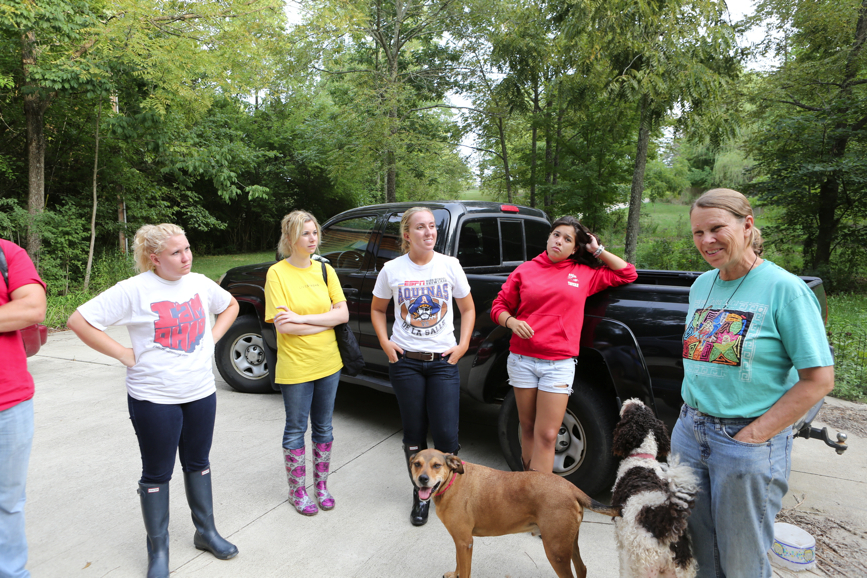 Full Size Image = 6313 K