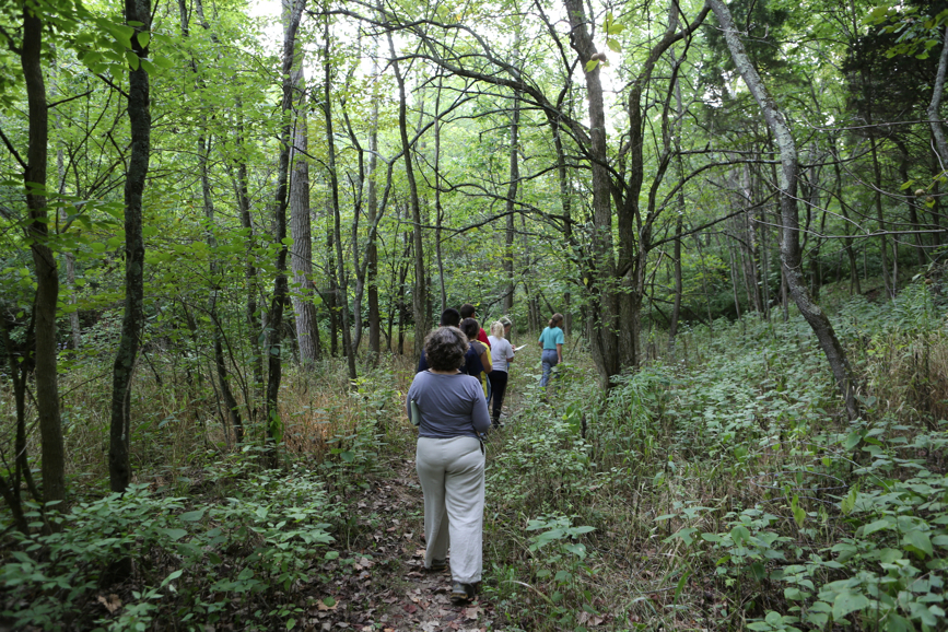 Full Size Image = 7508 K